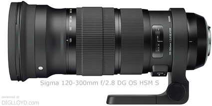 image of Sigma 120-300mm f/2.8 DG OS HSM S
