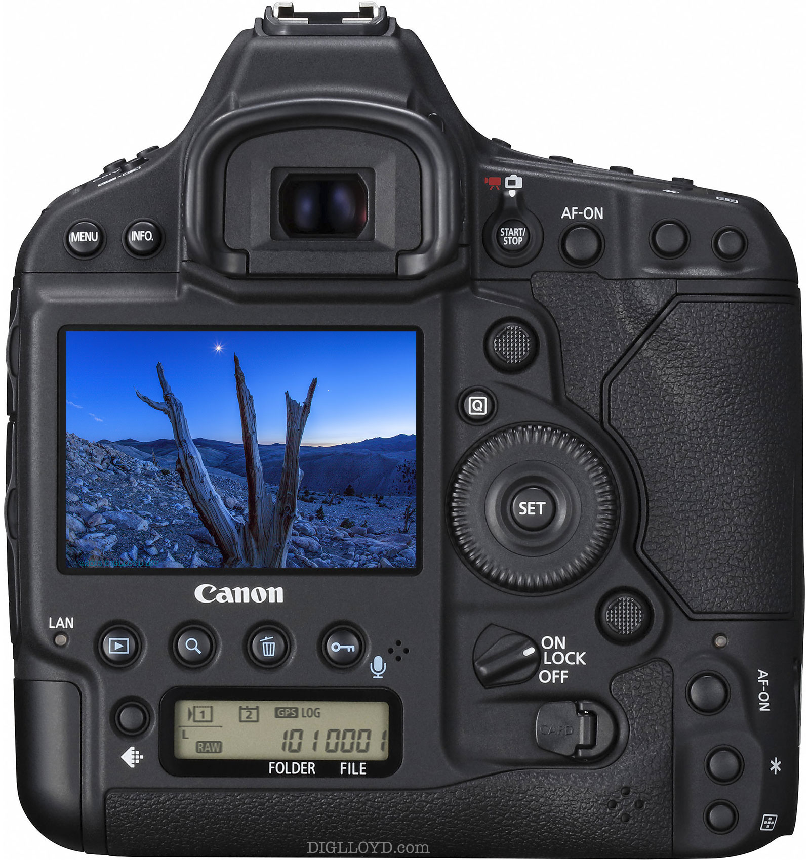 image of Canon 1DX