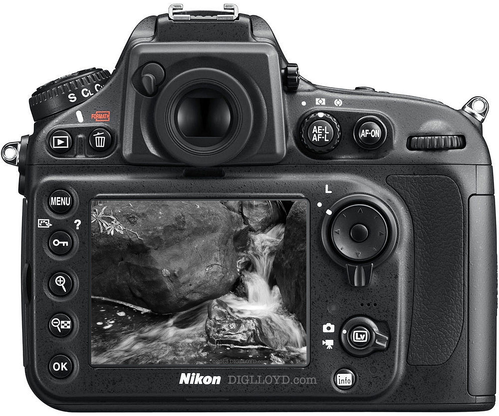 image of Nikon D800