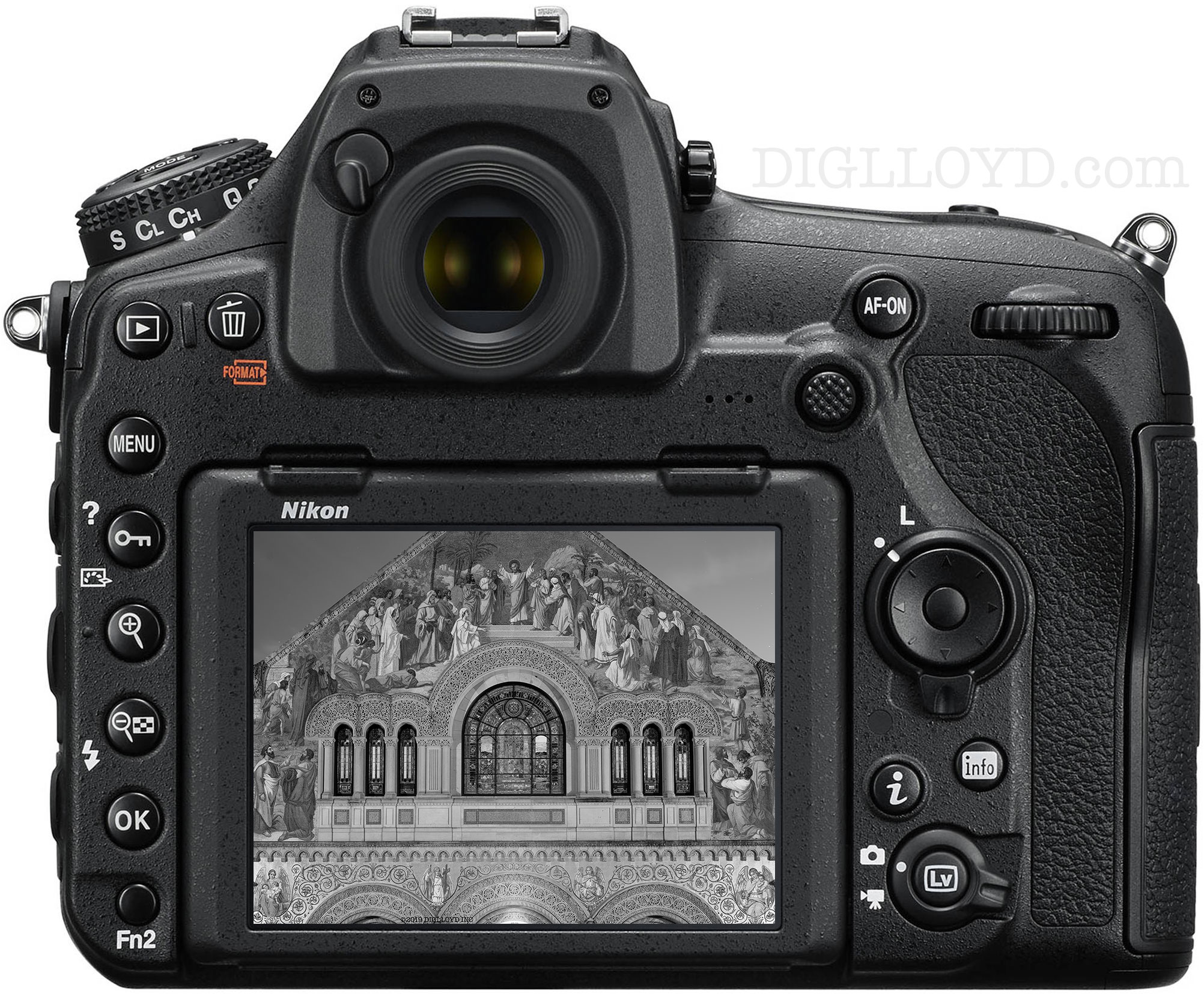 image of Nikon D850 monochrome