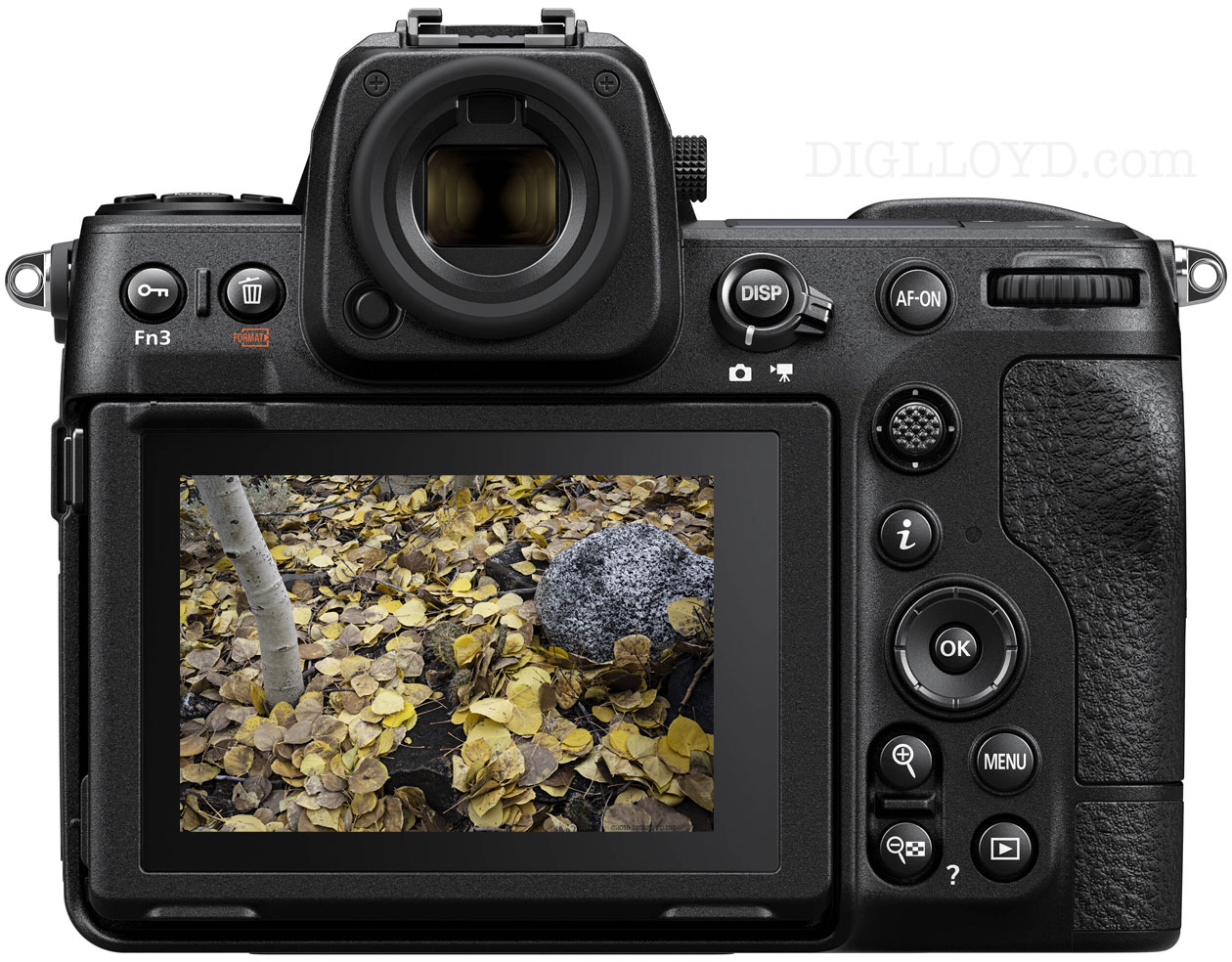 image of Nikon Z8